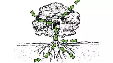 An illustration of a tree